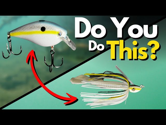 Watch This BEFORE You Use Search Baits for Bass