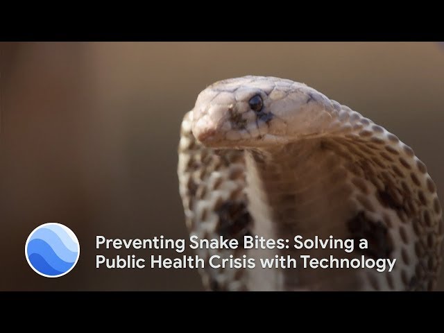Preventing Snake Bites: Solving a Public Health Crisis with Technology