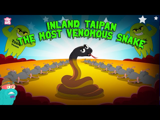 Inland Taipan - The Most Venomous Snake in the World | Most Deadliest Snake | The Dr. Binocs Show