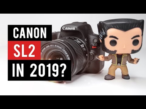 Canon SL2 (200D) in 2019 - Watch Before You Buy