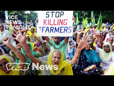 The Women Behind the Indian Farmers Protest