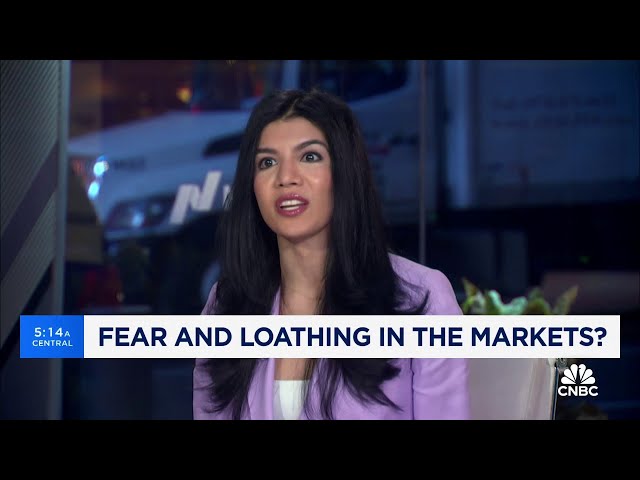 WSJ's Gunjan Banerji: This is really 'the first sign of fear' that we're seeing in the markets
