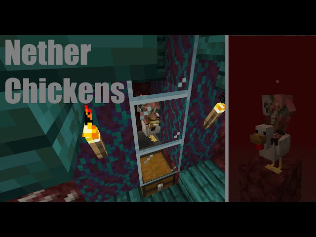 Nether survival lets play ep.15 - Nether chickens