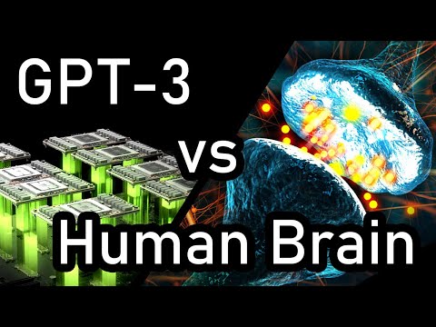GPT-3 vs Human Brain