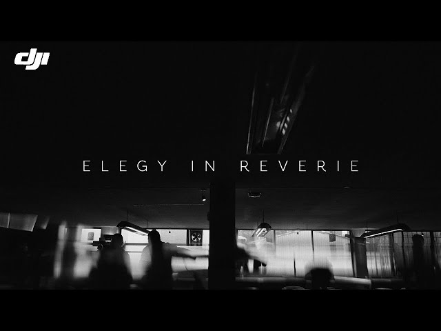 Elegy in Reverie | DJI Ronin 4D-8K