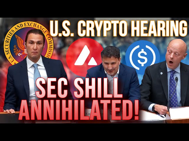 USDC & AVAX Testify Against SEC 🚨 SEC Shill ANNIHILATED!!!🔥🔥🔥