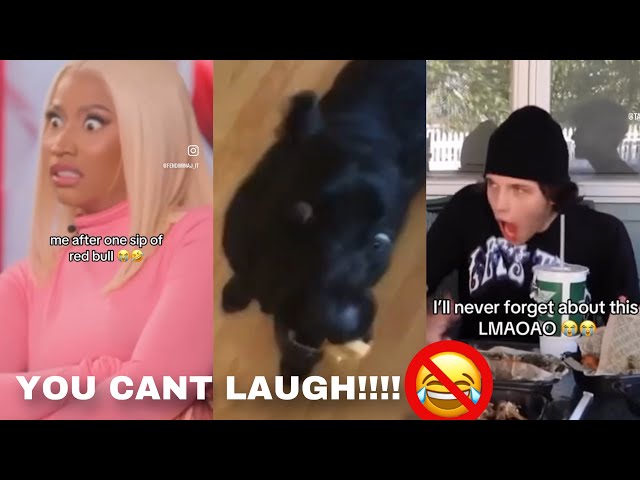 EXTREME TRY NOT TO LAUGH CHALLENGE!!! #trending #funny #shorts