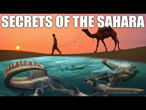 Sahara Desert Mysteries That Still Baffle Scientists