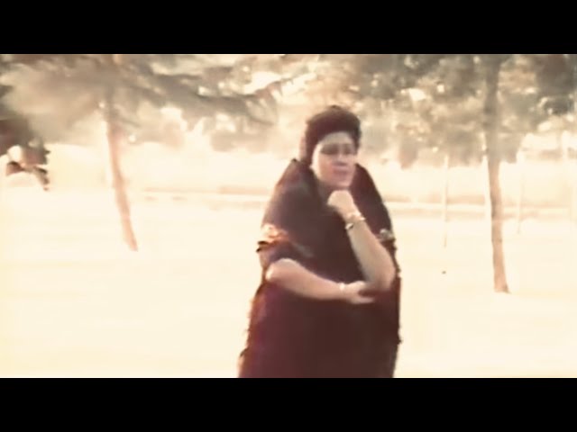 Hayedeh - Roozaaye Roshan (Second Version) (Official Video) | هایده - روزای روشن