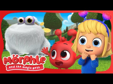 Morphle and the Magic Pets | Available on Disney+ & Disney Jr | Kids Videos and Cartoons