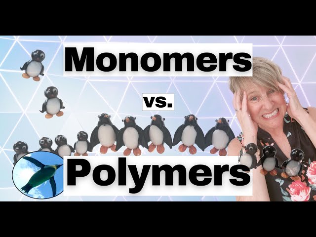 Chemistry Basics:  Monomers & Polymers 🐧