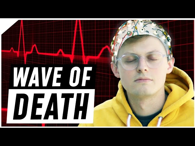 Das passiert im Gehirn, wenn du stirbst | Breaking Lab