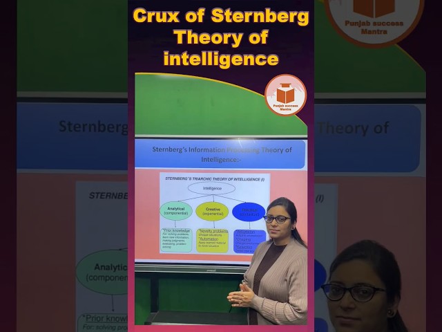Crux of Sternberg Theory of intelligence        For more details contact on 7814622609 or 8837686765