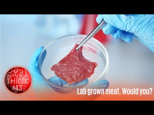 Lab Grown Meat. Would you?