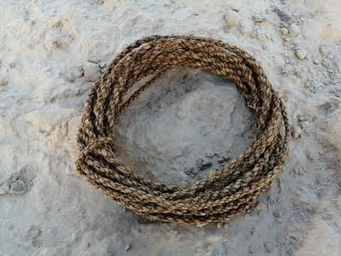 Primitive Technology: How to make a strong rope from the palm tree _ primitive survival tools
