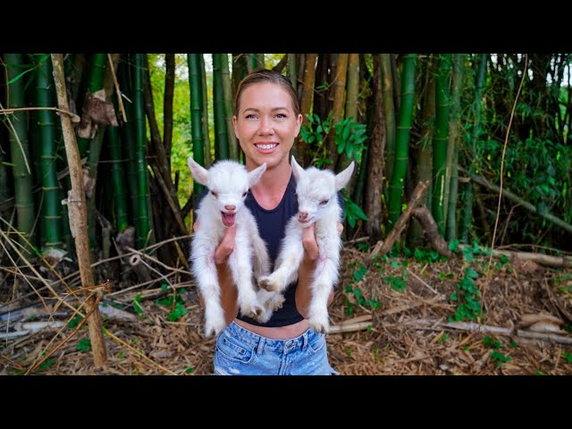 UNEXPECTED TWIN GOATS PLUS MAJOR BUILD FAIL ON THE ABANDONED JUNGLE PROPERTY!