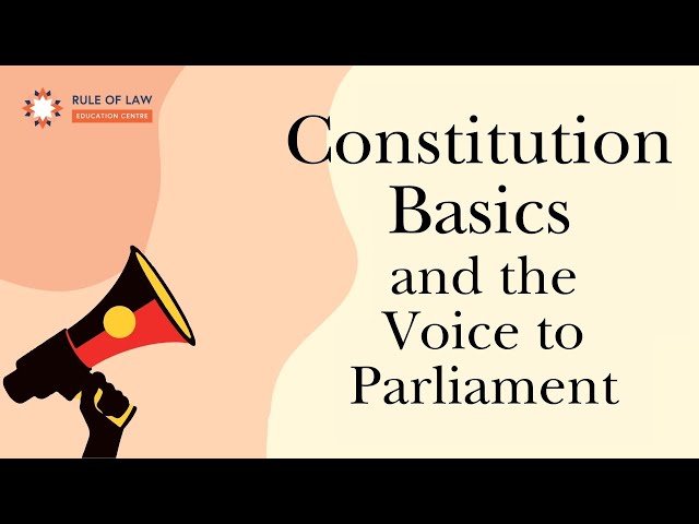 Constitution Basics and the Referendum: SHORT Version