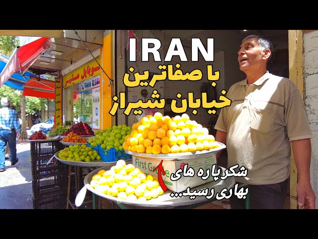 IRAN 2023 |The Lifestyle of Iranian People | The most Beautiful street of Shiraz روزهای سرزنده شیراز