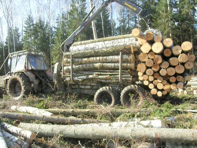 Logging with Belarus Mtz 1025 forestry tractor and with Belarus Mtz 80, big load of 1025