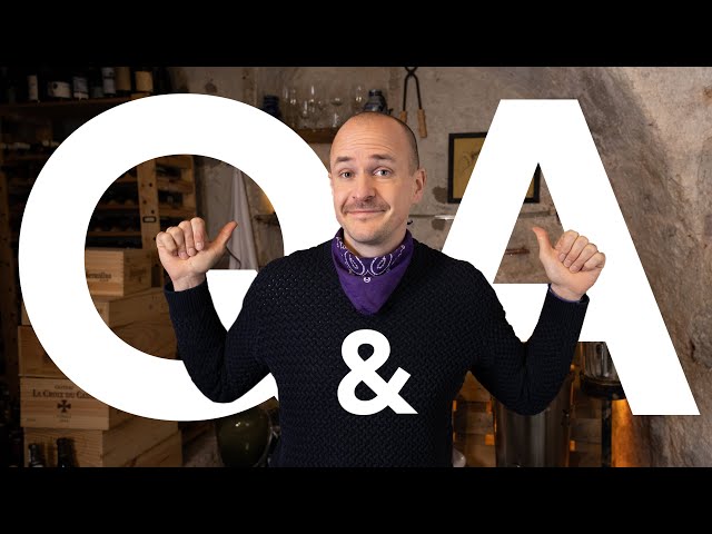 Q & A - How does a Master of Wine make MONEY?