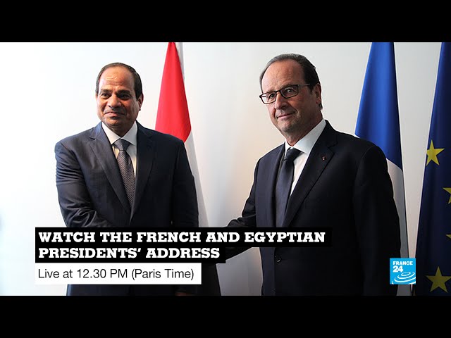 REPLAY - Watch the French and Egyptian presidents’ address