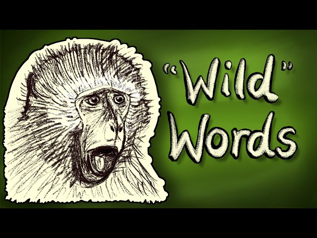 Are animal signals ever like words? – Can Animals Grammar? #5