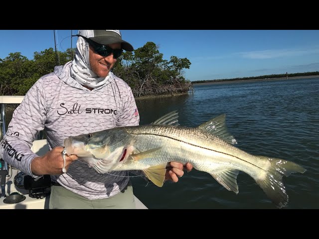 Inshore Slam All Caught In 1 Spot on 1 Lure [Post-Cold Front Fishing Lesson]