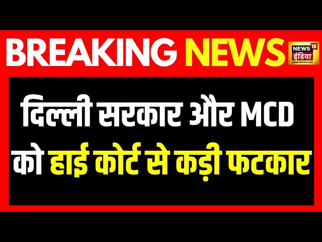 Breaking News: दिल्ली सरकार और MCD को हाई कोर्ट से कड़ी फटकार | Delhi News |  News18 India