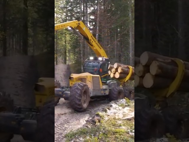 Holzfäller Doku in Deutschland mit Highlander Harvester und Forstraupe #agropictures #shorts
