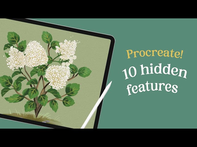 10 Procreate hidden tips I wish I knew as a beginner