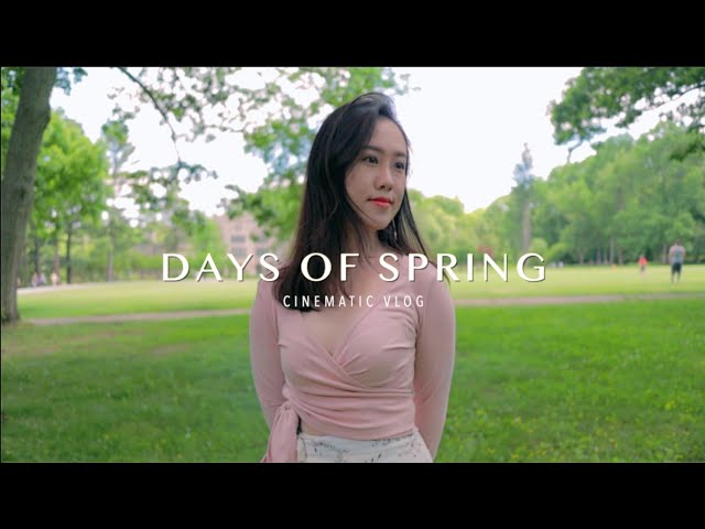 程序员小姐姐MV「DAYS OF SPRING」| CINEMATIC VLOG | Canon M50
