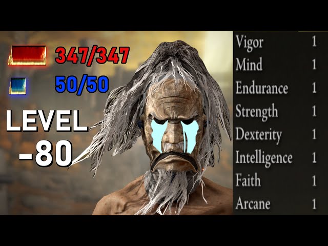 Can You Beat Elden Ring At NEGATIVE level 80?