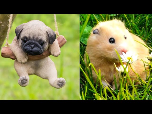 Cute baby animals Videos Compilation cute moment of the animals - Cutest Animals #30