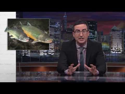 Salmon Cannon: Last Week Tonight with John Oliver (HBO)