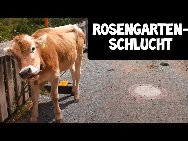 Traumhafte Wanderung durch die Rosengartenschlucht in Imst - Tirol