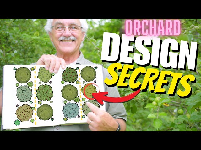 Ultimate Guide to Designing YOUR Permaculture Orchard