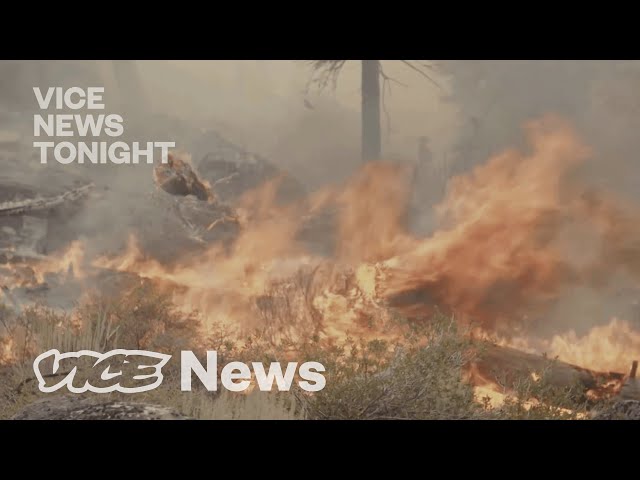 An Unprecedented Fire Season Is Devastating California… Again