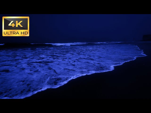 Ocean Waves Sounds For Deep Sleep | Fall Asleep Quickly In Less Than 3 Minutes With Night Tides