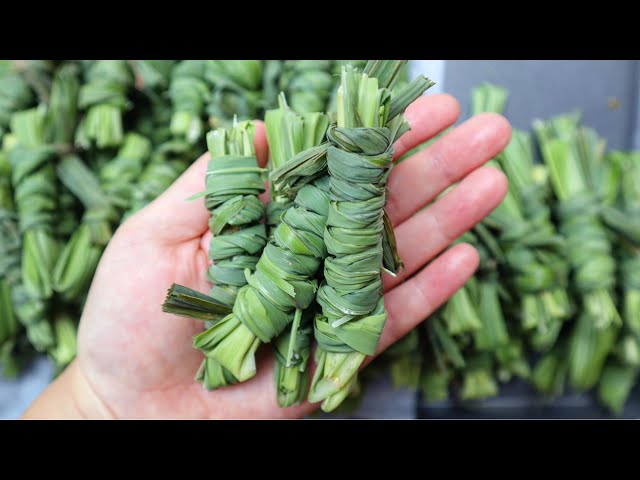 LEMONGRASS: Wrapping lemongrass leaves & How we like to store them [Tauj Qab]