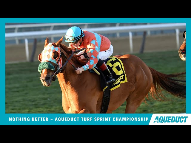 Nothing Better - 2023 - The Aqueduct Turf Sprint Championship