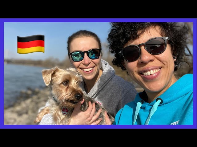 How to Move to Germany with Your Dog or Cat