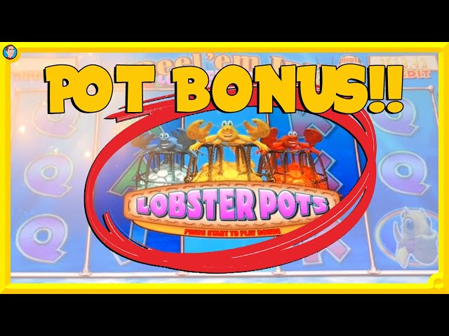 Finally a POT BONUS on Lobster Potty! 🦞