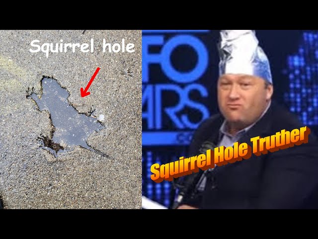 The Chicago “Rat Hole” is a SQUIRREL HOLE!!