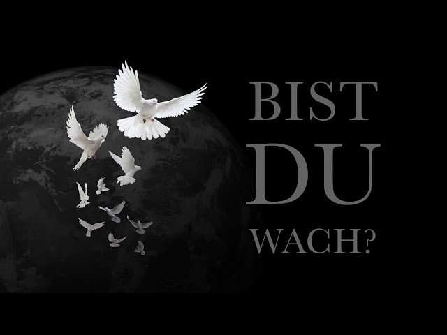 AZZI MEMO - BIST DU WACH? (Benefiz Song für Hanau) [Official Video]