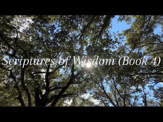 Scriptures of Wisdom (Book 4)