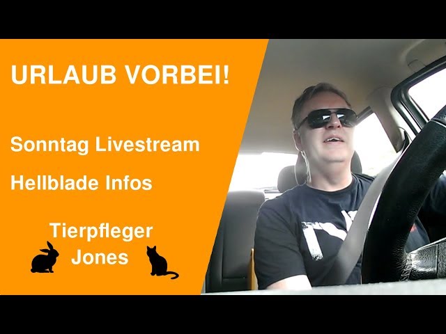 Jones der Tierpfleger - Kater Flash & Kaninchen Moppel - Hellblade Release & Livestream Plan