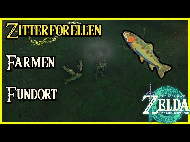 Zitterforellen Farmen Fundort Farmspot Zelda Tears of the Kingdom Frostforelle Maxi Lachs