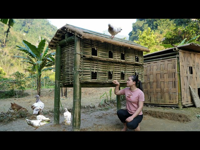 Building Bamboo House For Pigeons at Garden - lý thị ca