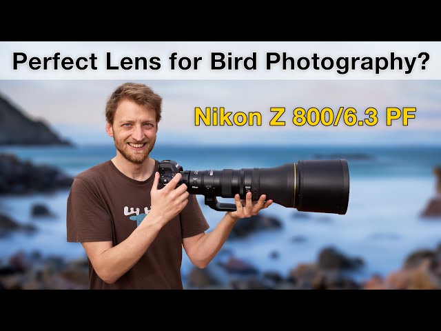 Nikon Z 800mm f/6.3 PF - Field Review Bird Photography