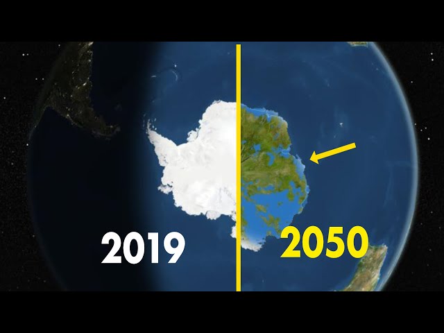 Top 10 Shocking Scientific Discoveries Of 2019